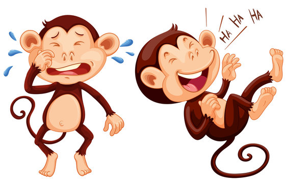 Monkey crying and laughing