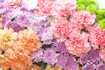 Beautiful flowers background