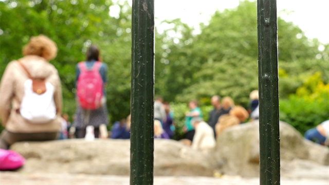 Children playing in a playground
