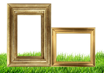 Golden photo frames on green grass nature background