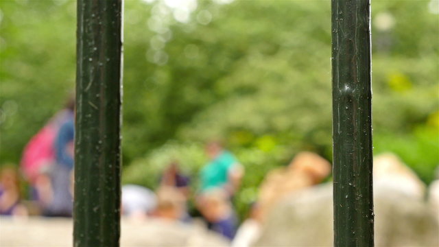 Children playing in a playground