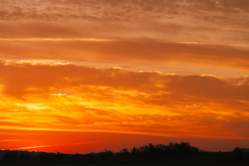Fototapeta na wymiar sunset. colored clouds 