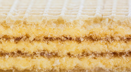 wafer filled with butter cream