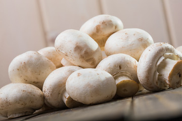 Group of champignons