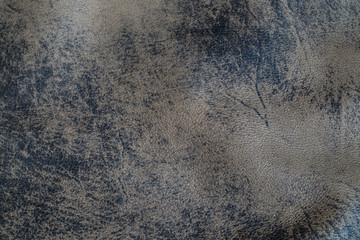 The texture of the skin