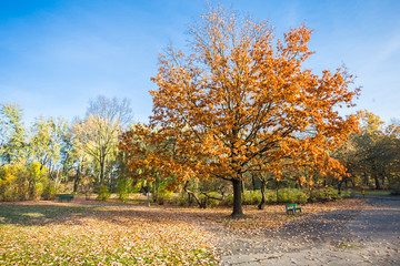Jesienny spacer po parku