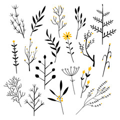 Plants, Flowers and Branches. Vector Illustration Set