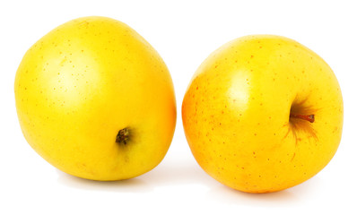 two yellow apples on a white background