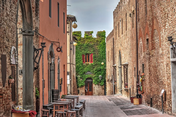 ivy wall in Certaldo