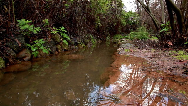 Stock Footage of a calm stream and its wet banks in Israel.