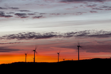 Obraz premium Windmills seen at dawn