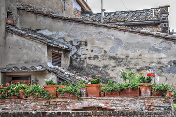 grungy wall and flower pots
