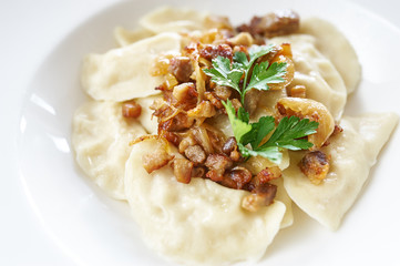 Dumplings in Ukrainian on white plate studio shot