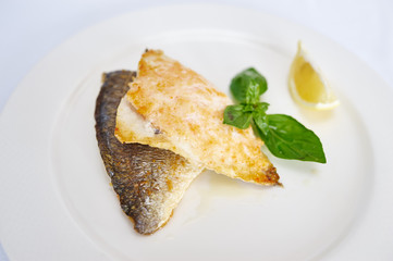 Baked fish fillets on white plate studio shot