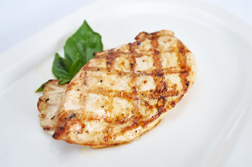 Grilled chicken breast on white plate studio shot