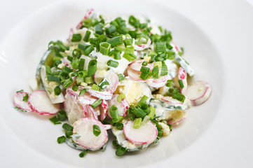 Salad with radish and sour cream on white plate studio shot