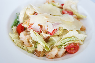 Caesar salad with shrimps on white plate studio shot