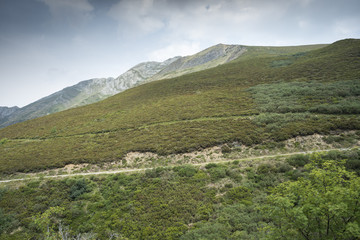 Heathlands in Saliencia Valley, Somiedo Nature Reserve. It is located in the central area of the Cantabrian Mountains in the Principality of Asturias in northern Spain