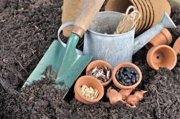 graines dans pots et accessoires de jardinage