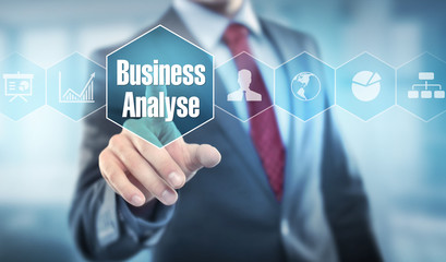 Business Analyse