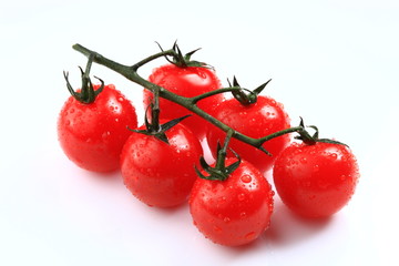 juicy cherry tomato branch isolated, covered with water drops