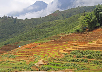 view of village CatCat with rice terraces - 100187464