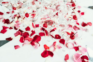 Line of cherry champagne cocktails over white with red roses pet