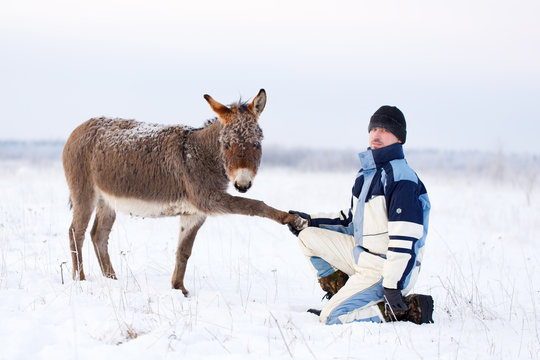 donkey and man at winter