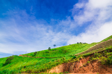 Mountain landscape in morning