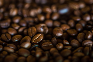 Selective focus of brown roasted coffee bean