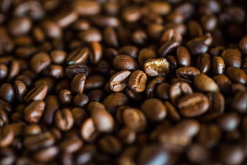 Selective focus of brown roasted coffee bean