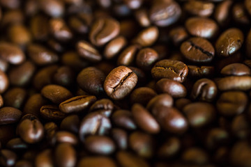 Selective focus of brown roasted coffee bean