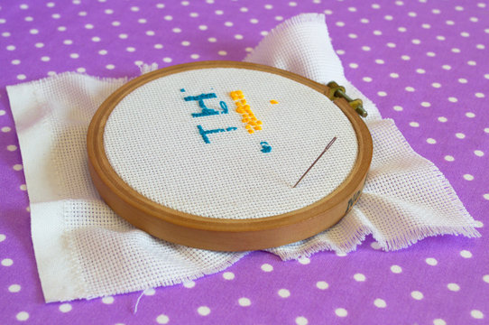 The embroidery hoop with canvas print, the needle, child to learn to embroider