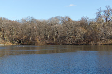 Central park lake