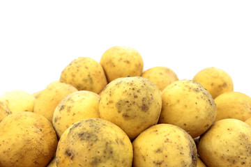 longkong thai fruit in basket on white background