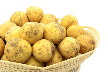 longkong thai fruit in basket on white background