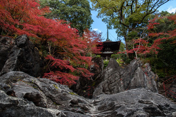 石山寺　硅灰石