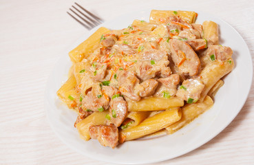 pasta rigatoni with meat and sauce