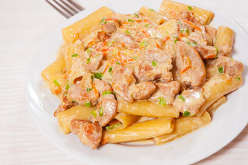 pasta rigatoni with meat and sauce