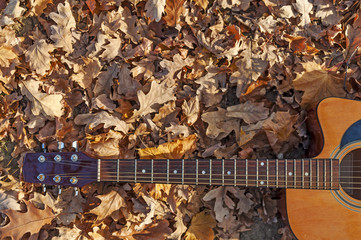 Guitar leaning on a lot leaves in autumn park on cloudy day
