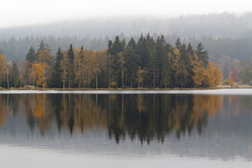 Autumn trees on the lakeshore