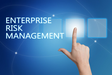 Enterprise Risk Management