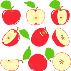 Red apple slices, collection of vector illustrations on a transparent background