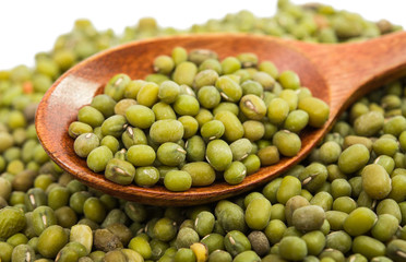 mung bean isolated