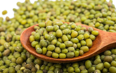 mung bean isolated