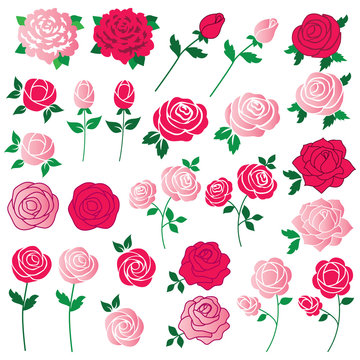  rose clipart