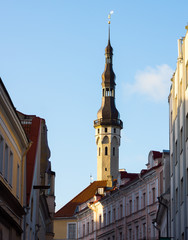 Obraz premium Town city hall at day time