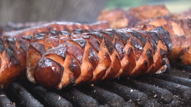 Close up of cut polish sausage on the fire pit grill's 2