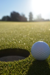Golf ball beside the hole