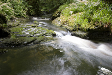 Fototapeta premium Dartmoor - Devon - England